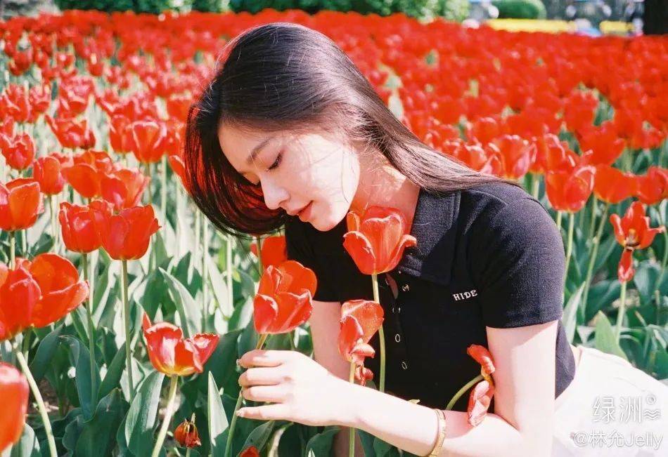 �������Ứ����ͼ�����ޣ������崿��������̫��������